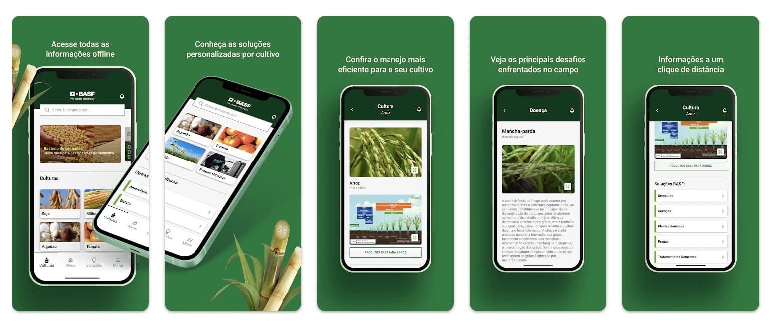Cinco telas do BASF Agro com culturas, soluções agrícolas, manejo, doenças e informações disponíveis offline.